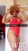 Honeybee Adams