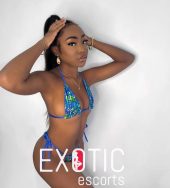 Nessa-nessa