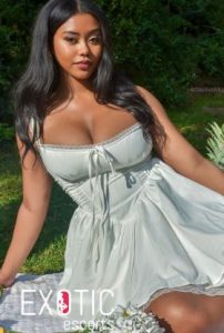 Airport Residential escorts